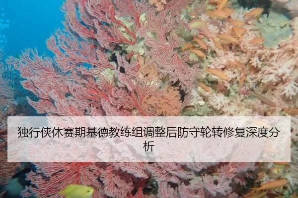 独行侠休赛期基德教练组调整后防守轮转修复深度分析